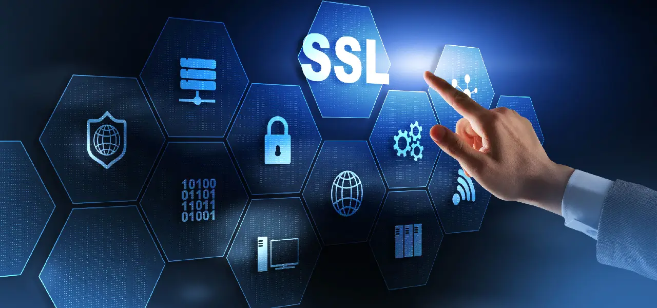 domain-hosting-ssl-the-three-pillars-every-new-delhi-website-needs-to-stay-secure-and-online